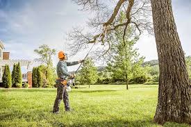 Best Tree Mulching  in Plover, WI