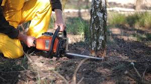 Best Landscape Design and Installation  in Plover, WI
