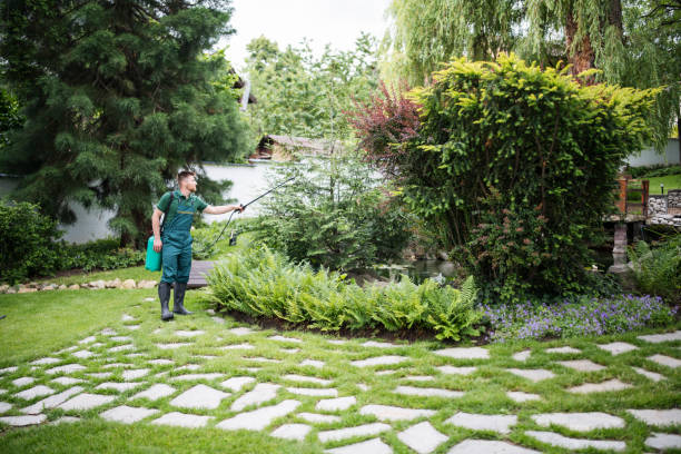 Best Artificial Turf Installation  in Plover, WI