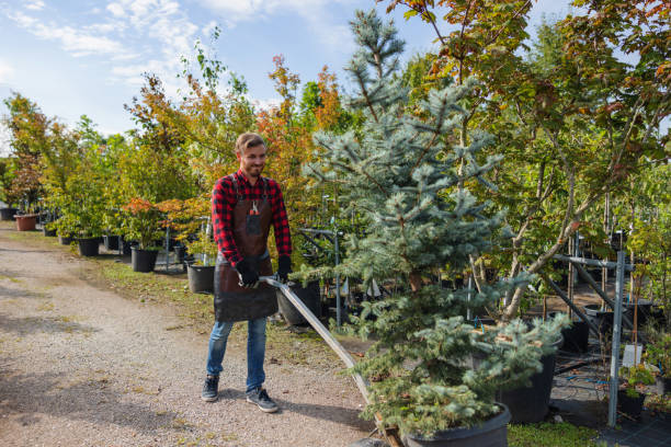 Best Lawn Pest Prevention  in Plover, WI