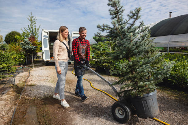Best Lawn Maintenance Plans  in Plover, WI